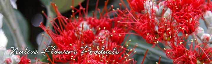 Native Flower Products